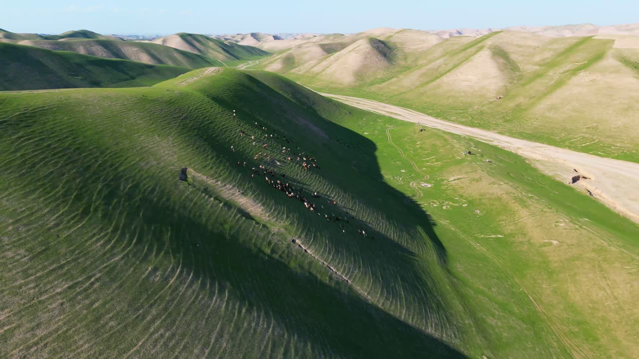 vista aérea de las verdes montañas y la naturaleza pacífica