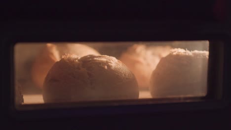 loaves of bread rising in the oven, establisher