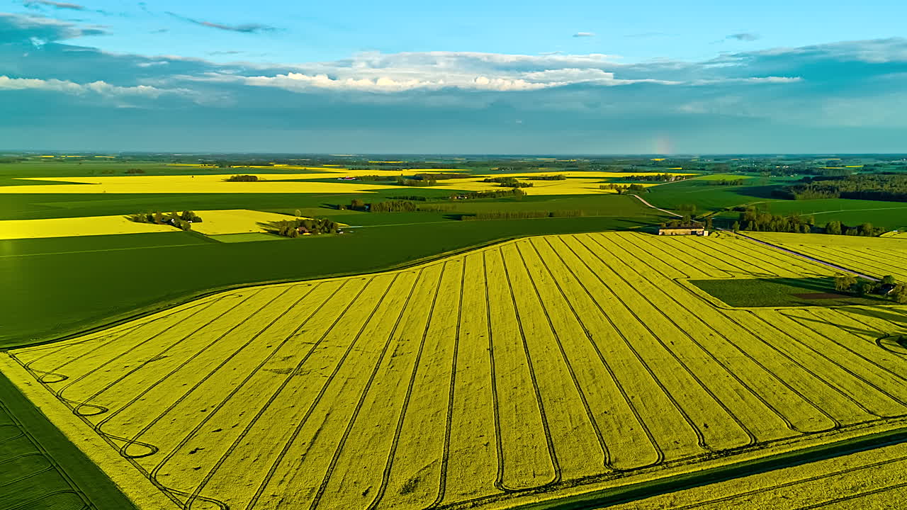 Drone hyperlapse of patchwork farmland with rapeseed and green fields under blue sky
