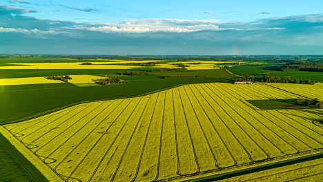 drone hyperlapse of patchwork farmland with rapeseed and green fields under blue sky