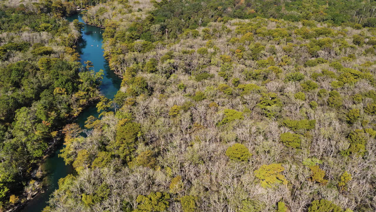 Rastreamento aéreo para a esquerda do dossel florestal e pântanos perto de Morrison Springs, Flórida, com grupo de tour de paddleboard à distância.