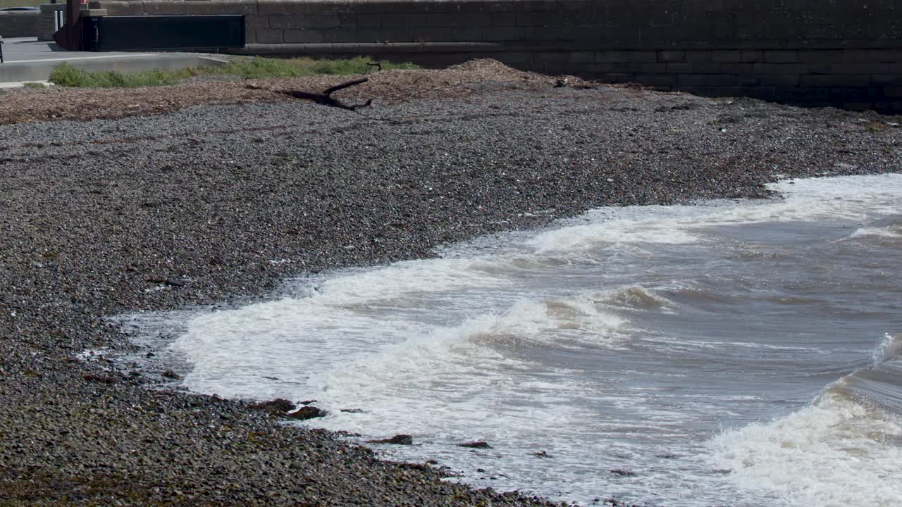 Wind-driven waves break on a rocky beach under daylight, static camera, overcast coastal atmosphere
