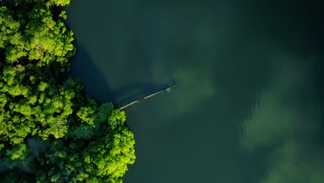 fast spinning aerial top down shot of rusty leaking pipe running into lake surrounded by mangroves, dumping sewage