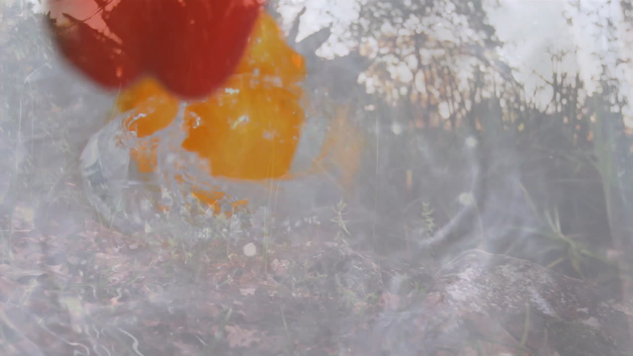 Swirling water with submerged orange flower against blurred natural background