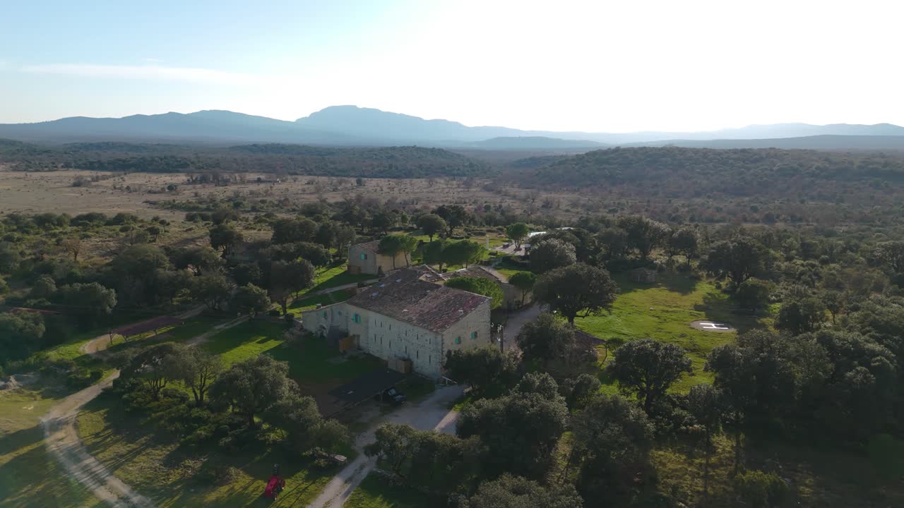 Casale provenzale in mezzo agli uliveti