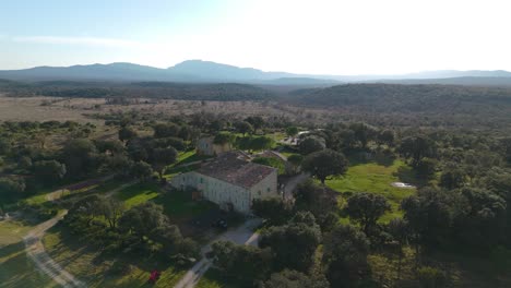 Provencal-Farmhouse-Amidst-Olive-Groves