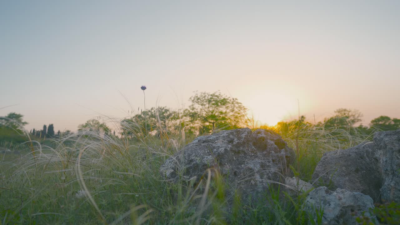 바위 가 있는 잔디  위 에 해 가 지는 것