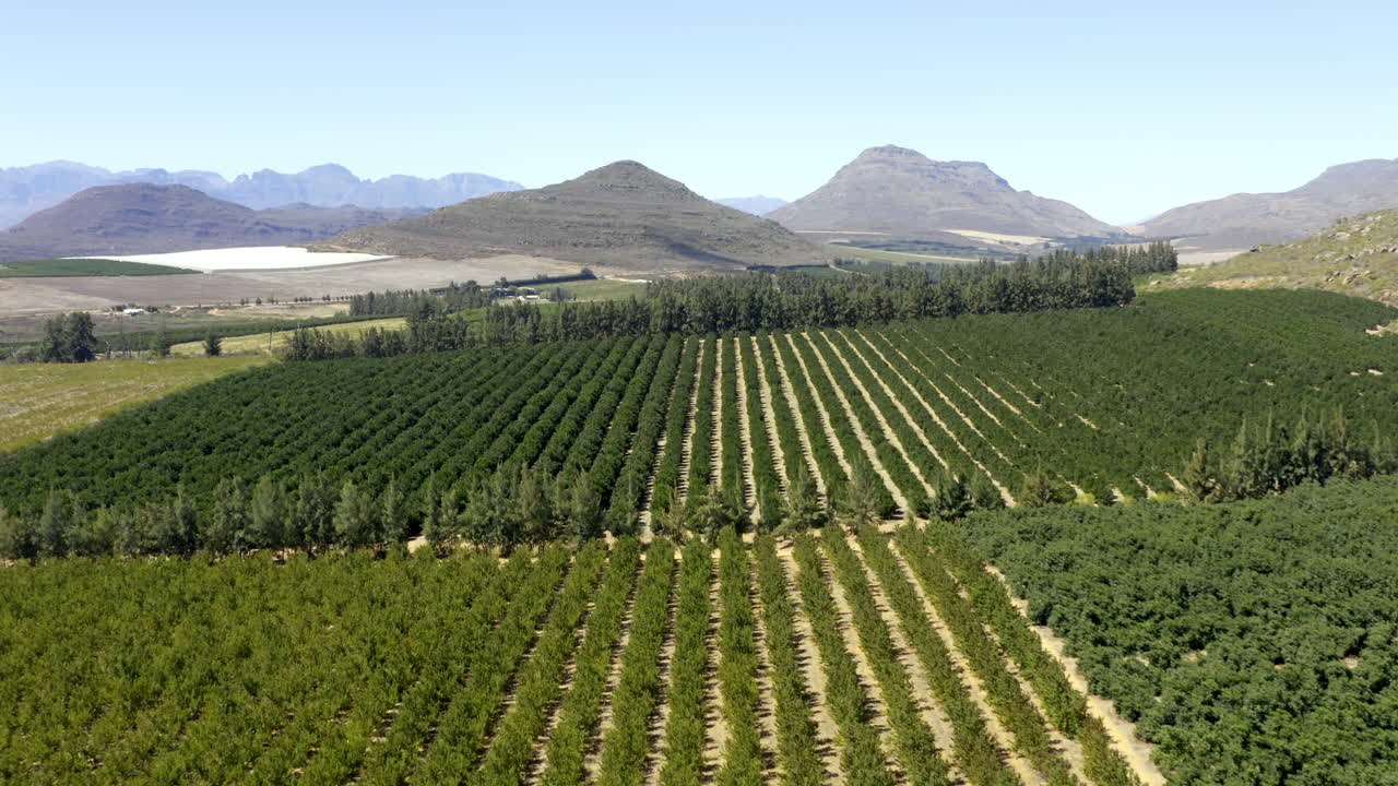 눈이 볼 수 있는 멀리까지 초록색의 선함