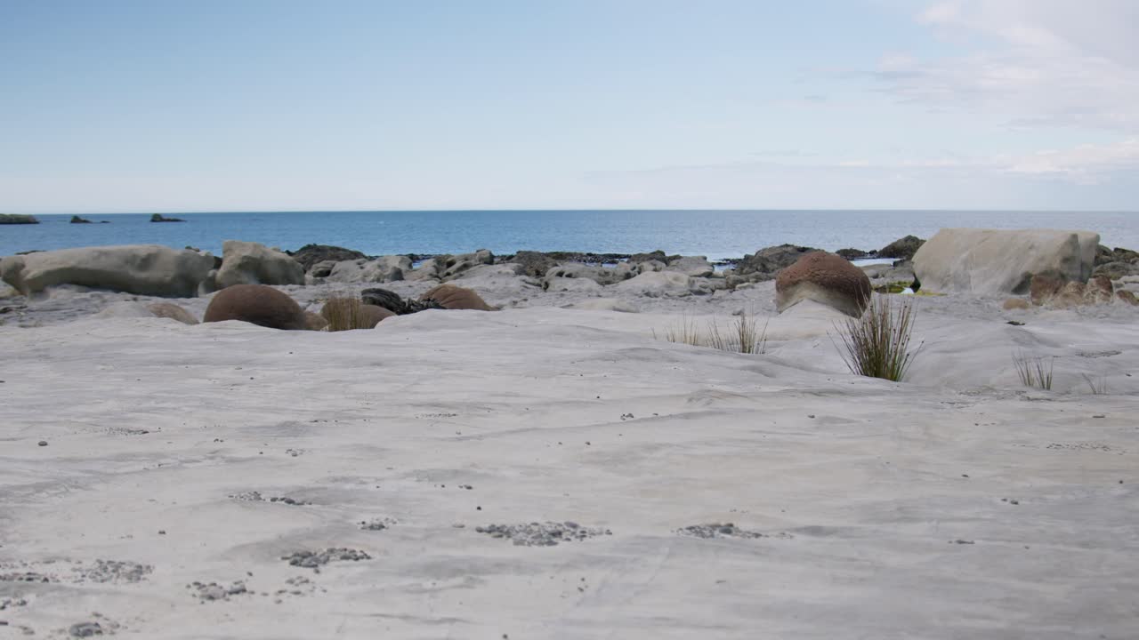 Low wide view of the round boulders at Ward beach in New Zealand