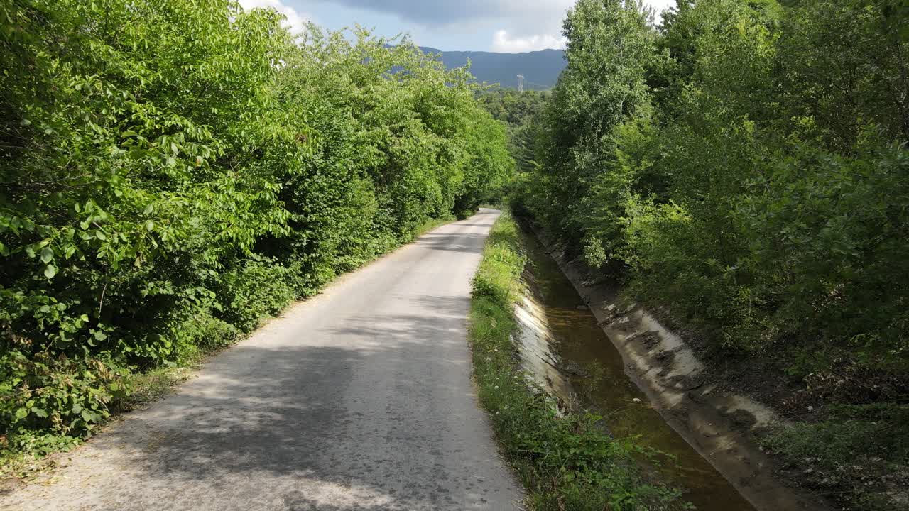 양쪽에 푸른 숲이 있는 아스팔트 도로 3