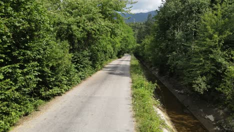 Asphaltstraße-Mit-Grünem-Wald-Auf-Beiden-Seiten-3