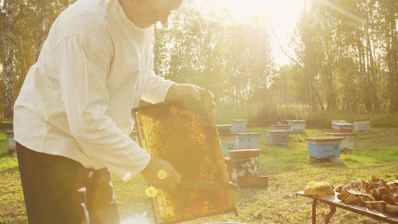 ⁇ 벌 키우는 사람 이  ⁇  을 수확 하고 있다