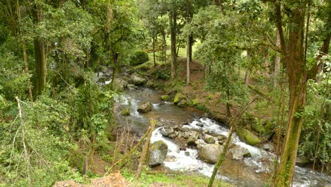 río que fluye visto desde un ángulo alto en el bosque en costa rica