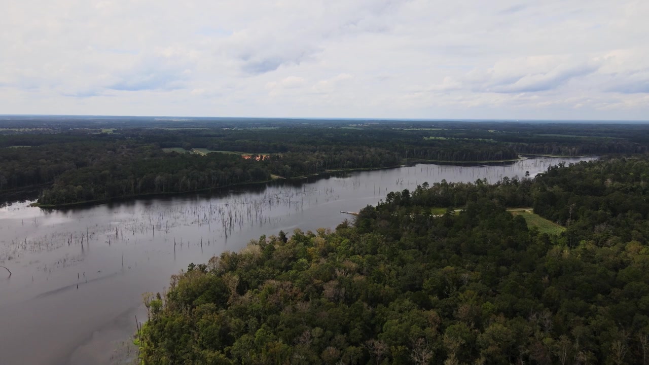 Dense Thicket Surrounds The Estuary River At Sunset. Aerial Drone Shot