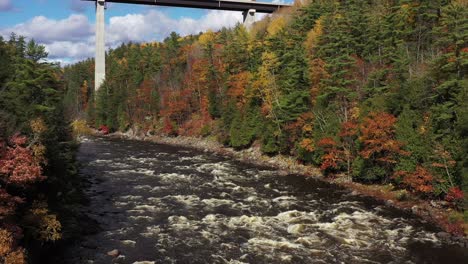 Stromschnellen,-Die-Unter-Der-Brücke-Verlaufen,-Kommen-Hinter-Bäumen-In-Herbstfarben-Zum-Vorschein