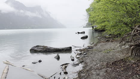 Ruhiges-Ufer-Des-Walensees,-Ruhiger-Rückzugsort-Im-Schweizer-Paradies