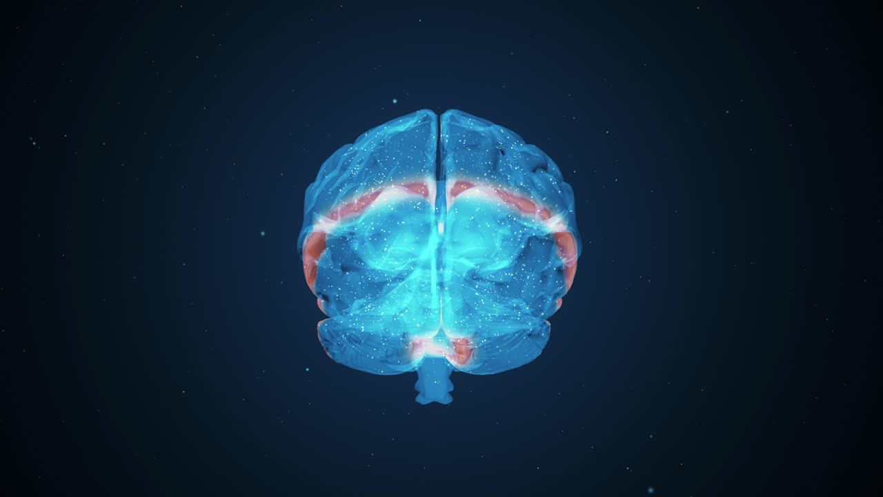 Brain Scan Visualization
