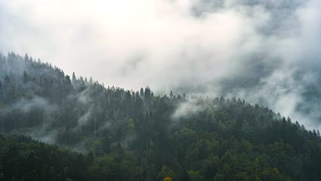 fog drifts over the forest at the klöntalersee