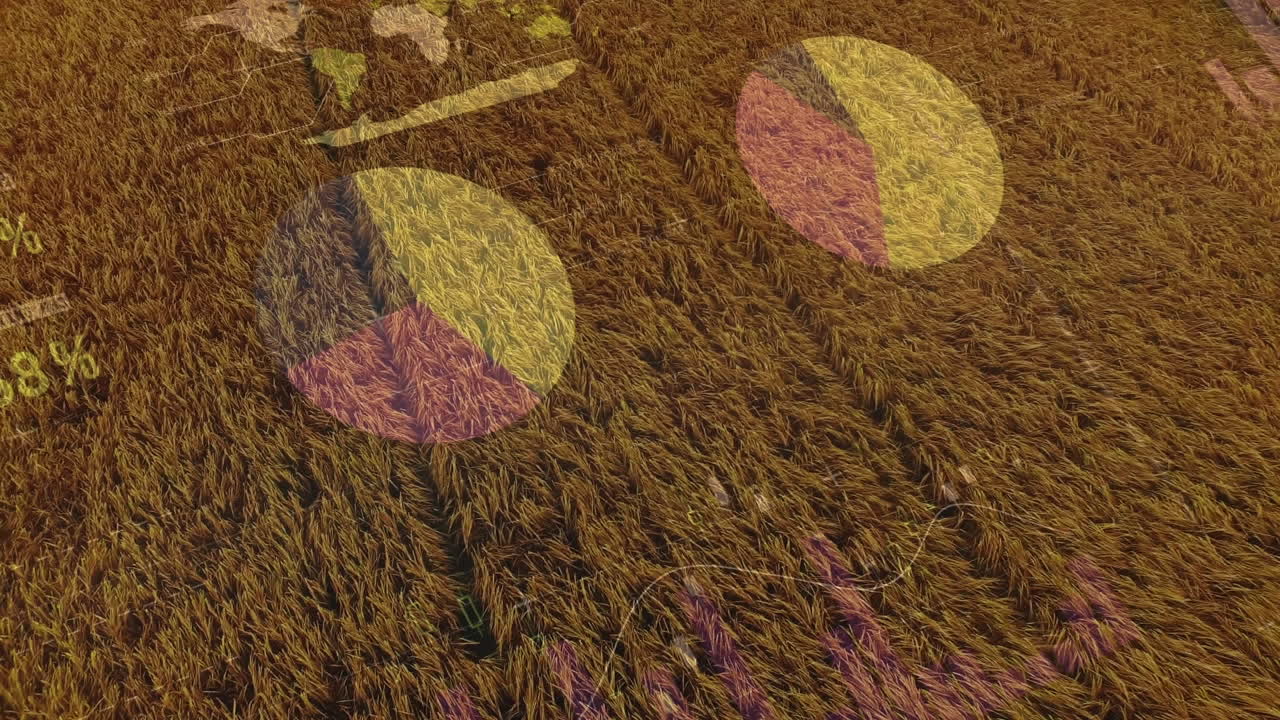 animación de las estadísticas y el procesamiento de datos financieros en el ámbito de la agricultura