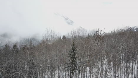 Drone-shot-descending,-starting-with-mountains-and-low-cloud,-then-revealing-snowy-alpine-trees