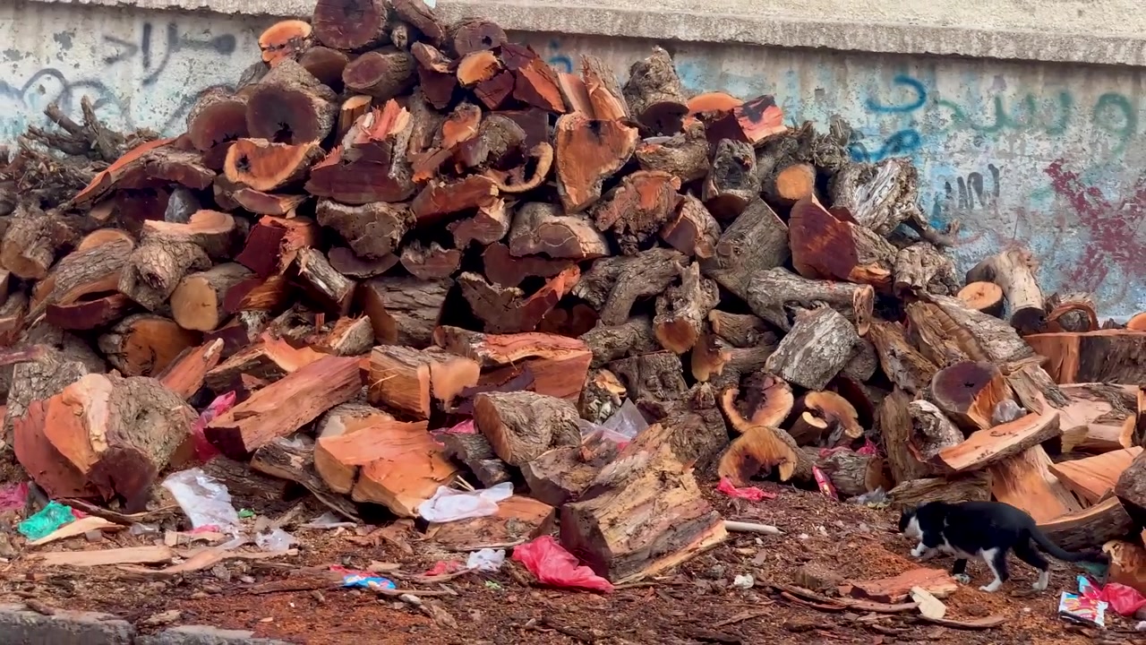 Pile of wood in front of bakery in Sana'a Yemen during fuel crisis humanitarian situation