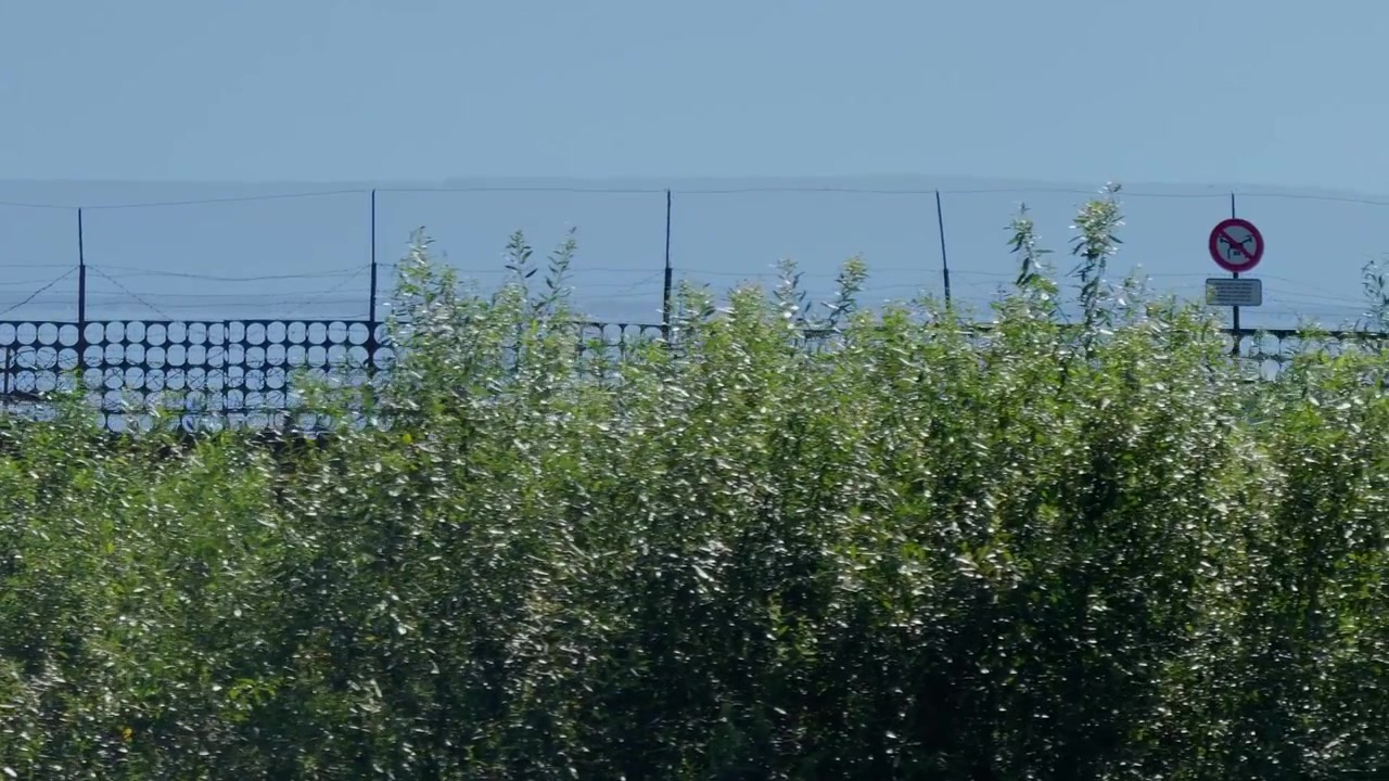 Recinzione ad alta sicurezza sormontata da filo spinato e bordo di griglie metalliche circolari si erge dietro cespugli verdi sotto un cielo azzurro e limpido presso una struttura correzionale in Lettonia