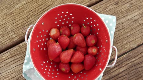 gastos generales de fresas en tazón