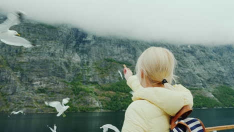 Eine-Frau-Füttert-Leichtgläubige-Möwen-Kreuzfahrt-Auf-Den-Fjorden-Norwegens-4k-Video