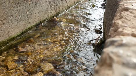 close up of clear freshwater flowing through aqueduct in rural countryside of jordan, middle east