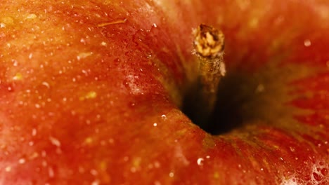 toma muy detallada de un tallo y la parte superior de una manzana roja