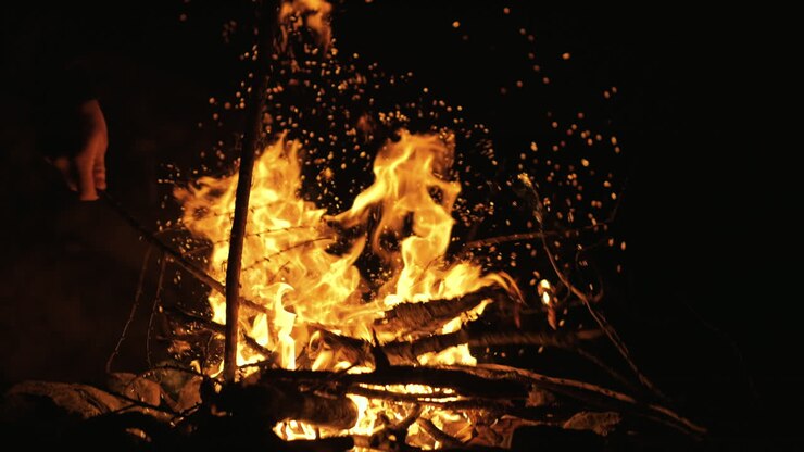 fogata en la noche