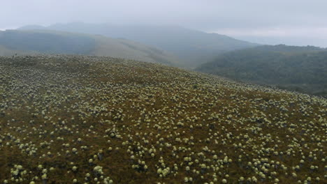 Vista-Aérea-Del-Valle-De-Frailejones-En-Un-Día-Nublado---Colombia