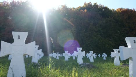 Cemetery with White Crosses and Green Trees