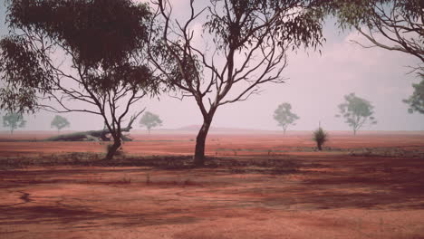 arid outback landscape