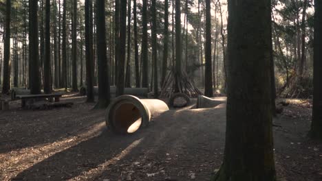 forest playground with sunlight