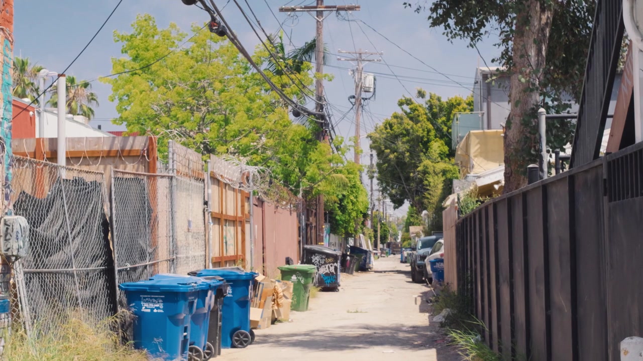 Beco de Los Angeles com latas de lixo e grafites nas paredes, cena urbana diurna ensolarada