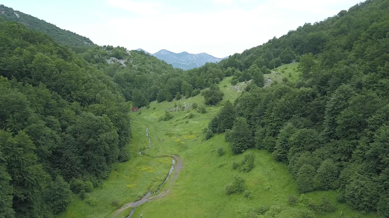 borov kamak, vratsa, bulgaria, arroyo en el bosque