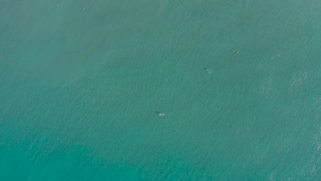 people-swimming-in-crystal-clear-water-in-Liguria