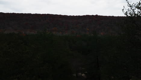 Fall-Colors-By-The-Creek-At-Sunset-In-Arkansas,-USA