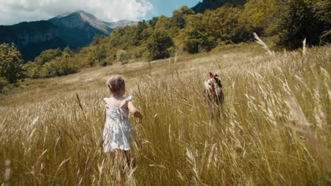 carefree toddler girl run with playful pet on meadow friendly mood