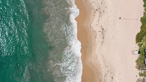 tropical-summer-seascape,-green-turquoise-water-breaking-on-sandy-beach