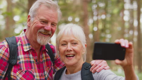 Pareja-De-Ancianos-Jubilados-Posando-Para-Selfie-En-Un-Teléfono-Móvil-Caminando-En-El-Campo-Boscoso