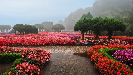 jardín de la pagoda en chiang mai tailandia