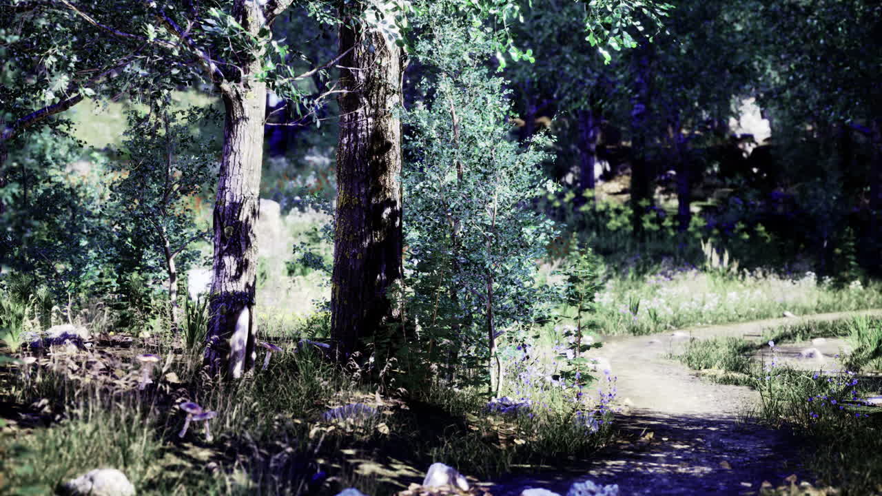 Lush forest pathway inviting exploration through vibrant greenery