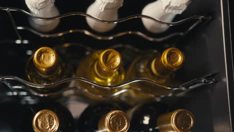 refrigerador de vino con botellas