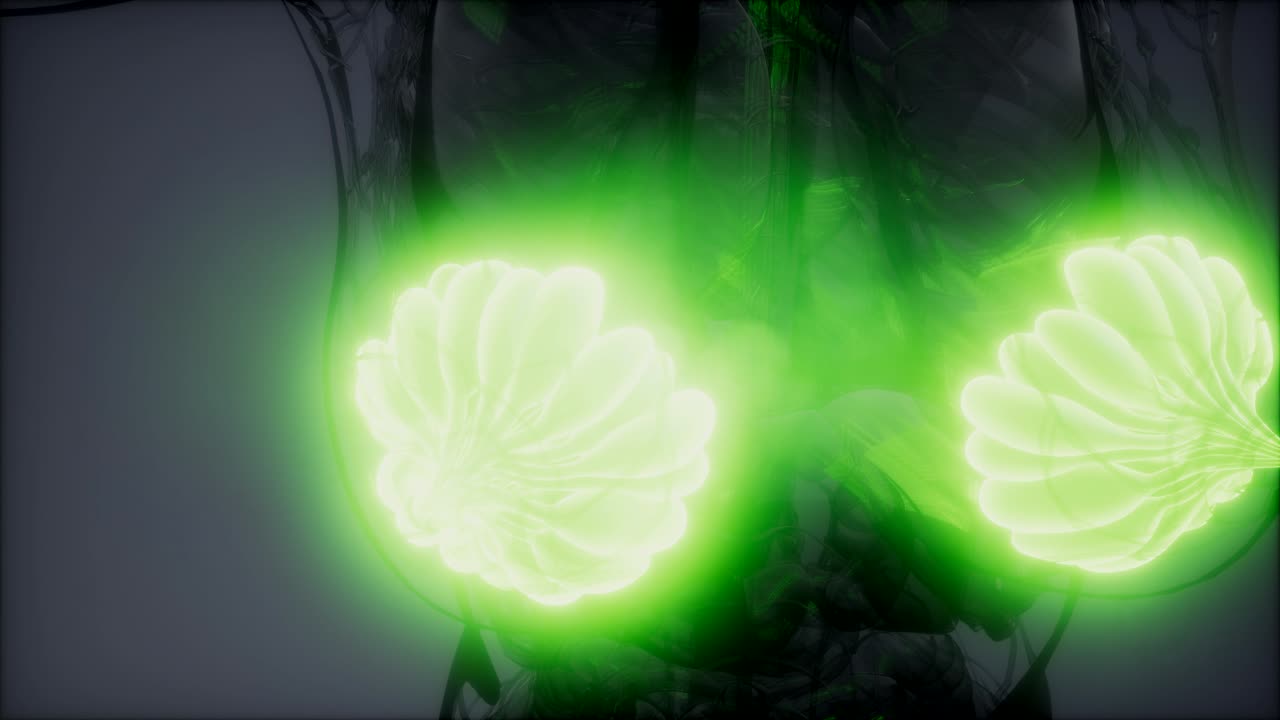 비만 여성의 유방선에 대한 의학적으로 정확한 그림