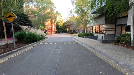 empty street with greenery and buildings