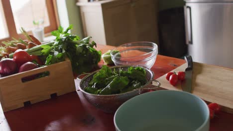 close up of countertop in kitchen with vegetables