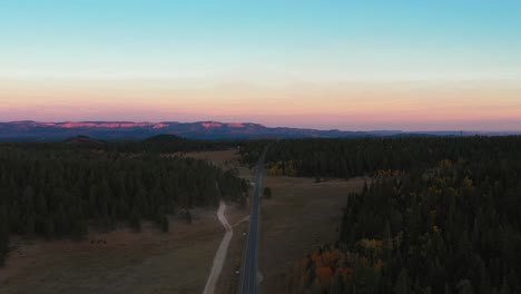 long, narrow country road through pine forest towards the mountains in utah, usa