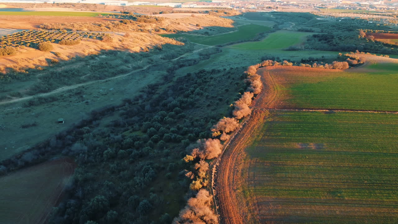 vista aérea de un paisaje rural con tierras de cultivo y olivares